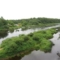 Поречье, река Луга