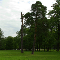 Александровский парк