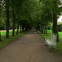 Аллея в парке