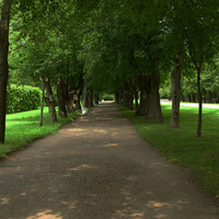 Аллея в парке