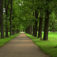 Дубовая аллея