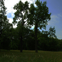 Александровский парк