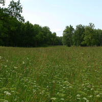 Александровский парк