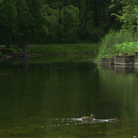 Детский пруд