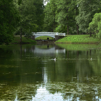 Детский пруд