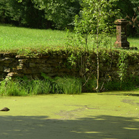 Александровский парк
