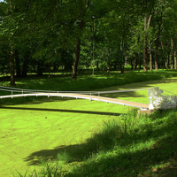 Канал в парке