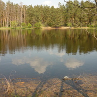 озеро Чистое 2014 г.