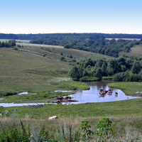 Природа села Воробьевка