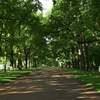 Рамповая аллея