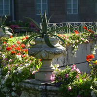 Собственный сад