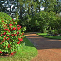 Собственный сад