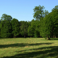 Екатерининский парк