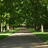 Рамповая аллея