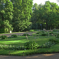 Рамповая аллея