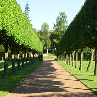 Екатерининский парк