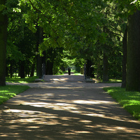 Аллея в парке