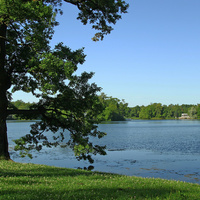 Большой пруд