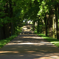 Дубовая аллея