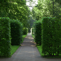 Екатерининский парк