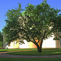 Павильон "Нижняя ванна"