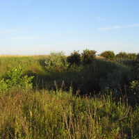 Клубничная яма