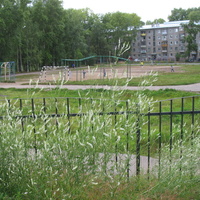 Сыктывкар 2015