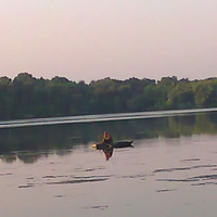 Козак. Риболовля на світанку