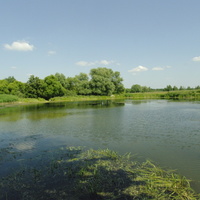 плотина на реке Ведомка