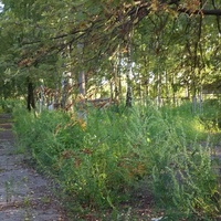 Харино, военный городок