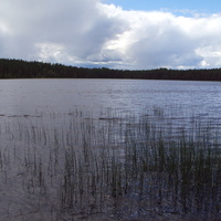 Царицино озеро 2015