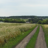 Затишье. Вид на Красное