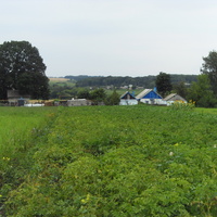 Затишьенские огороды