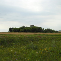 Давно заброшенный сад