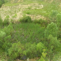 Затишье. Глубокий котлован