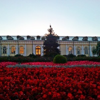 Цветочная клумба в Александровском саду.