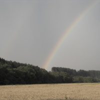 После дождя