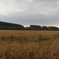 Затишье. Вид на Берёзовец