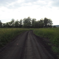 Грунтовая дорога