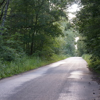 Ступинский лесопарк