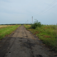 Дорога лагеря Космос