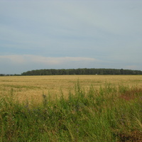 Затишье. Вид на Котловский лес