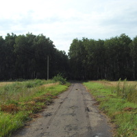 Дорога в лагерь