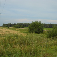 Котловский лес