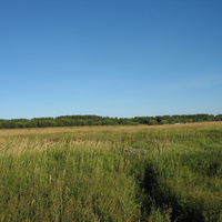 Сыктывкар 2015 - на Красную гору