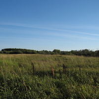 Сыктывкар 2015 - на Красную гору