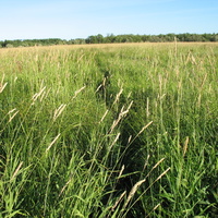 Сыктывкар 2015 - на Красную гору