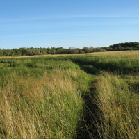 Сыктывкар 2015 - на Красную гору