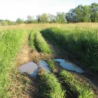 Сыктывкар 2015 - на Красную гору