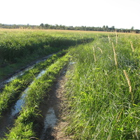 Сыктывкар 2015 - на Красную гору